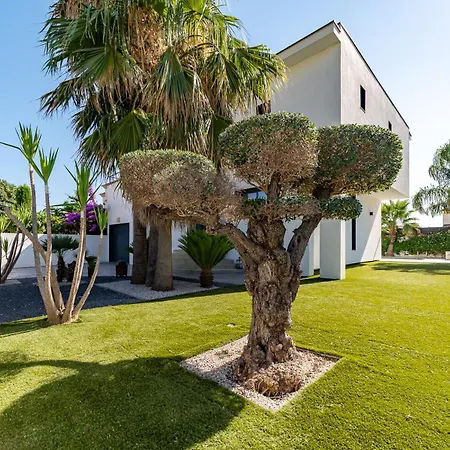 Vila De Luxe Sud De La France - - Piscine - Jacuzzi